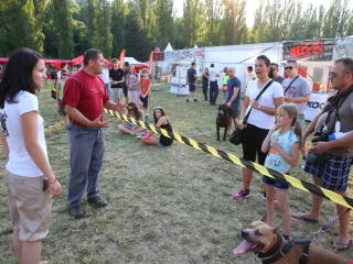 DUDIK- Őrző- védő szituációs bemutató - fotó: Ónodi Zoltán