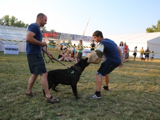 DUDIK- Őrző- védő szituációs bemutató - fotó: Ónodi Zoltán