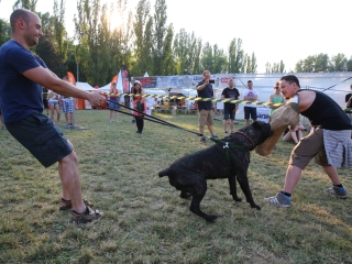 DUDIK- Őrző- védő szituációs bemutató - fotó: Ónodi Zoltán