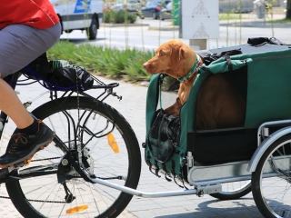 36. MK-TEC Bringatúra - fotó: 