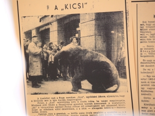 Sugárúti Fesztivál a Vasmű úton (2022) - fotó: 