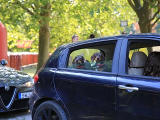 AlfaCity 2022 – a nagy randevú a Szalki-szigeten - fotó: 