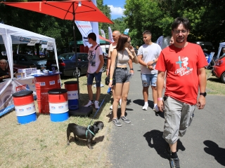 AlfaCity 2022 – a nagy randevú a Szalki-szigeten - fotó: 