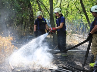 Erdőtűz Dunaújvárosban - fotó: 