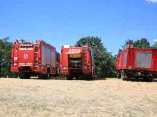 Erdőtűz Dunaújvárosban - fotó: 