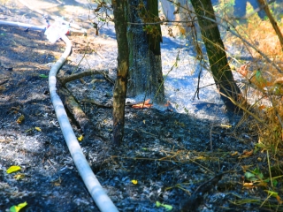 Erdőtűz Dunaújvárosban - fotó: 