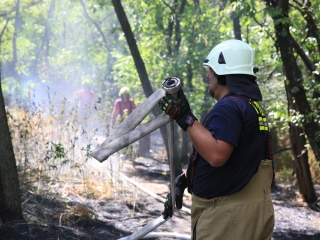 Erdőtűz Dunaújvárosban - fotó: 
