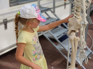 Duna Plazma egészségnap a Városháza téren - fotó: 