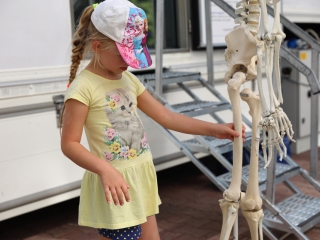 Duna Plazma egészségnap a Városháza téren - fotó: 