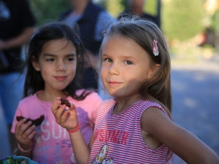 Tiltakozó akció a Városháza téren - fotó: 
