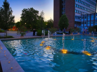 Tiltakozó akció a Városháza téren - fotó: 