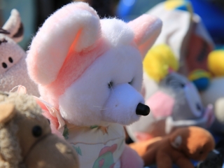 Nyári kincsvadászat a Csomagtartóvásárban - fotó: 