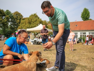 Szülinapos Csomagtartóvásár - fotó: 