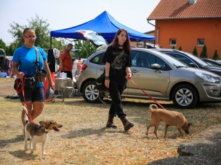 Szülinapos Csomagtartóvásár - fotó: 