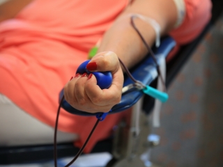 Retró véradás az MMK-ban - fotó: 