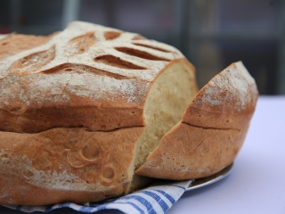 Augusztális a Szalki-szigeten (2022) - fotó: 