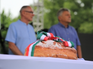 Augusztális a Szalki-szigeten (2022) - fotó: 