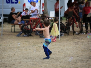 Augusztális a Szalki-szigeten (2022) - fotó: 