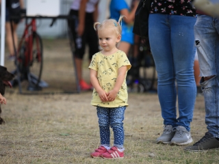 Augusztális a Szalki-szigeten (2022) - fotó: 