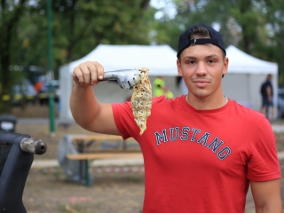 Augusztális a Szalki-szigeten (2022) - fotó: 