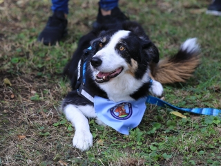 Útkeresés Segítő Szolgálat: Játékfesztivál (2022) - fotó: 