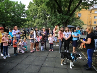 Útkeresés Segítő Szolgálat: Játékfesztivál (2022) - fotó: 