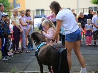 Útkeresés Segítő Szolgálat: Játékfesztivál (2022) - fotó: 