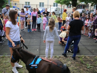 Útkeresés Segítő Szolgálat: Játékfesztivál (2022) - fotó: 