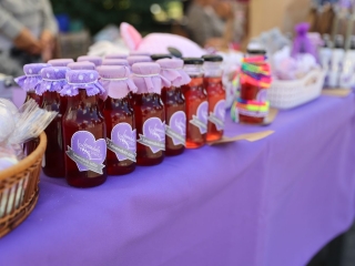 KönyvTér a Városháza téren (2022) - fotó: 