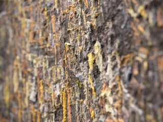 KMi - Vakáció kiállítás - fotó: Ónodi Zoltán