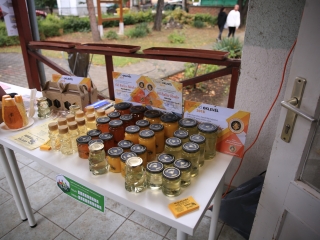 ÖKO Nap Újtelepen (2022) - fotó: 