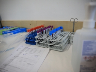 ÖKO Nap Újtelepen (2022) - fotó: 