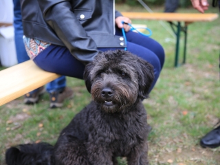 Szabadtéri Szoborparti a felső Duna-parton - fotó: 