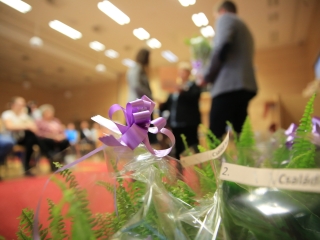 Virágos Dunaújváros (2022) - fotó: 