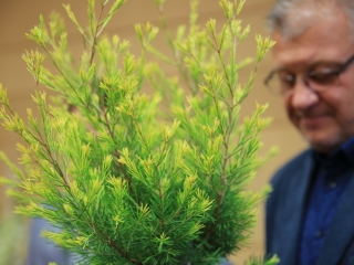 Virágos Dunaújváros (2022) - fotó: 