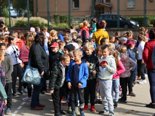 Színes piknik a Móricz udvarán  - fotó: 