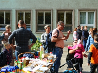 Színes piknik a Móricz udvarán  - fotó: 