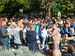 Színes piknik a Móricz udvarán  - fotó: 