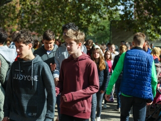 Színes piknik a Móricz udvarán  - fotó: 