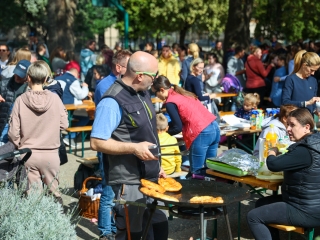 Színes piknik a Móricz udvarán  - fotó: 