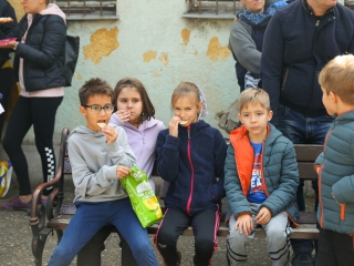 Színes piknik a Móricz udvarán  - fotó: 