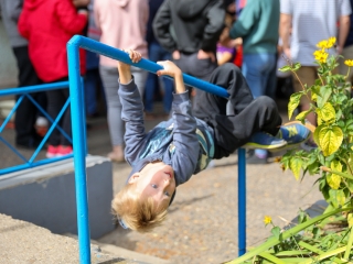Színes piknik a Móricz udvarán  - fotó: 