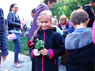 Sokszólamú zenei világnap - fotó: 