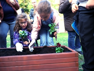 Sokszólamú zenei világnap - fotó: 
