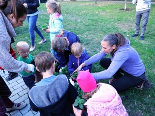 Sokszólamú zenei világnap - fotó: 
