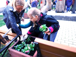 Sokszólamú zenei világnap - fotó: 