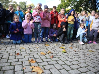 Sokszólamú zenei világnap - fotó: 