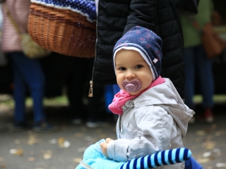 Dunai Kincses Kert – ősszel is siker! - fotó: 