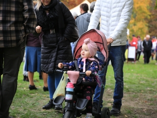 Dunai Kincses Kert – ősszel is siker! - fotó: 