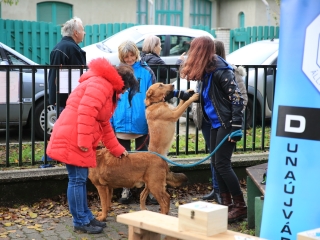 Csomagtartóvásár – 2022 november - fotó: 